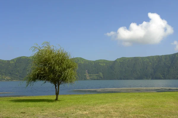 Azory sete cidades jezero na ostrově sao miguel, Portugalsko — Stock fotografie