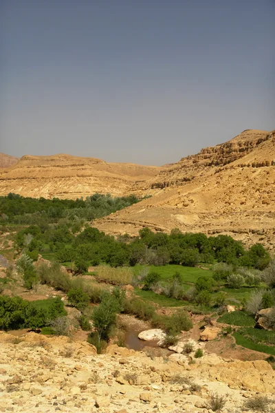 Atlas Dağları, Fas, Afrika — Stok fotoğraf