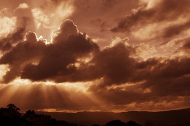 günbatımı yapraklara Kuzey Portekiz ile