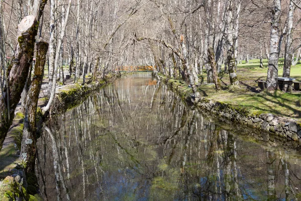 Covao d'ametade in het natuurpark Serra da Estrela. Portugal — Stockfoto