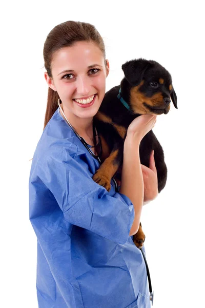 Morena veterinaria con un perro perrito rottweiler aislado — Foto de Stock