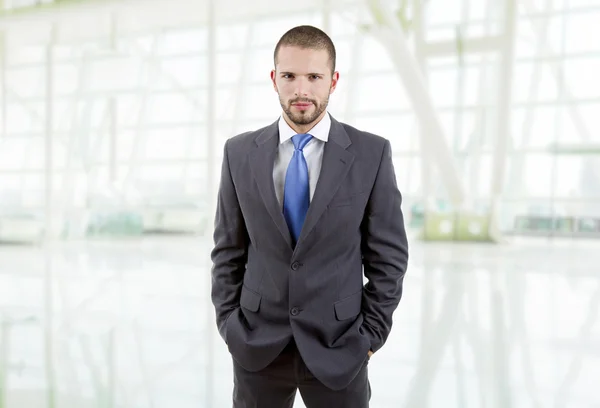 Jong zakenman portret op kantoor — Stockfoto