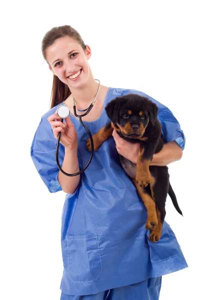 Morena veterinária com um cachorro rottweiler isolado no fundo branco — Fotografia de Stock