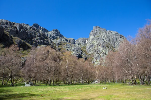 Covao d'ametade v přírodním parku Serra da Estrela. Portugalsko — Stock fotografie