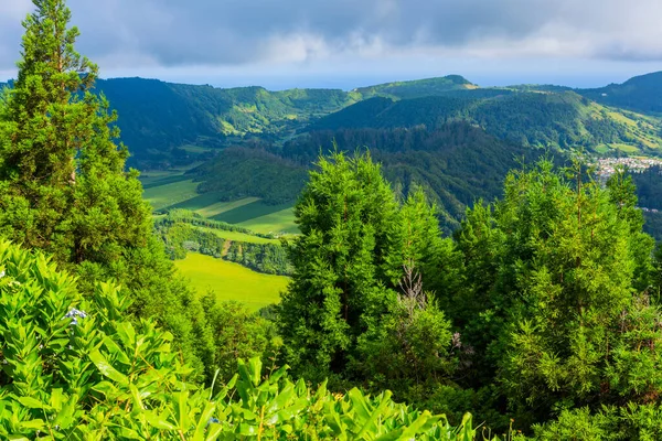 Piękne Krajobrazy Azorach Portugalia Tropikalna Przyroda Wyspie Sao Miguel Azory — Zdjęcie stockowe