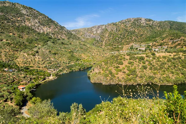 Widok Dolinę Douro Rzekę Północy Portugalii — Zdjęcie stockowe