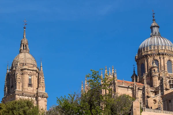 Nová Katedrála Katedrála Nueva Kopule Starém Městě Salamanca Světového Dědictví — Stock fotografie