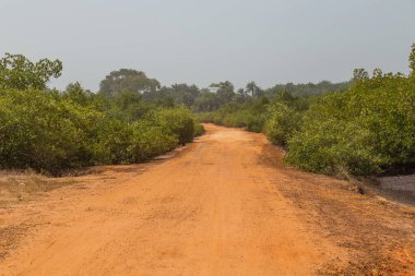 Bissau, Gine-Bissau 'nun dışında eski kirli bir yol..