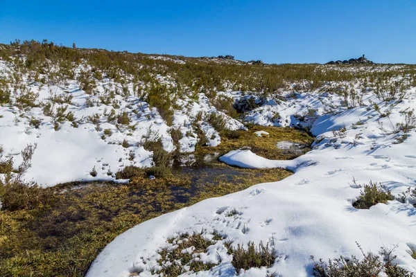 Paisaje Invernal Con Nieve Las Montañas Del Parque Natural Serra — Foto de Stock