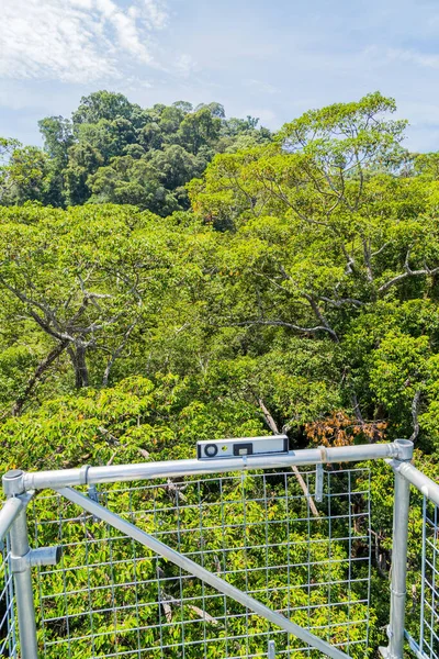 View Ulu Temburong National Park Fathul Park Temburong District Eastern — Stock Photo, Image