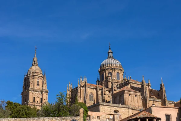 Pohled Historickou Katedrálu Salamanca Španělsko — Stock fotografie