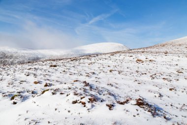 Anu 'nun Papaları' nda Kar, Co Kerry, İrlanda