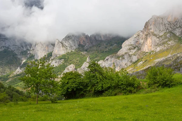 Vista Los Campos Montañas Picos Europa Asturias España —  Fotos de Stock