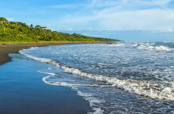 Spiaggia Tropicale Con Palme Costa Rica — Foto Stock