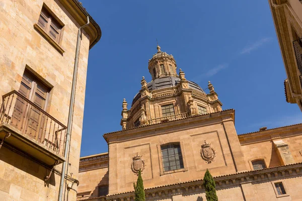 Spanya Nın Tarihi Salamanca Katedrali Manzarası — Stok fotoğraf