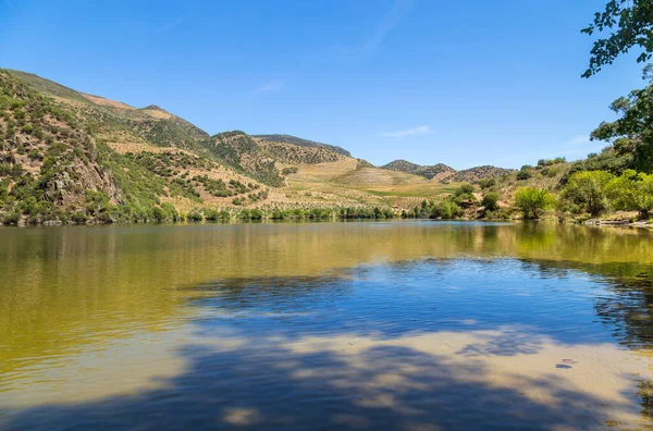 Der Fluss Douro Fließt Norden Portugals Douro Region — Stockfoto