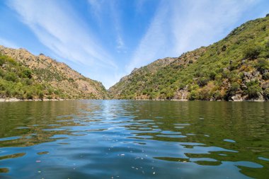 Douro Nehri Portekiz 'deki dar kayalık geçitten akıyor. Douro Bölgesi.