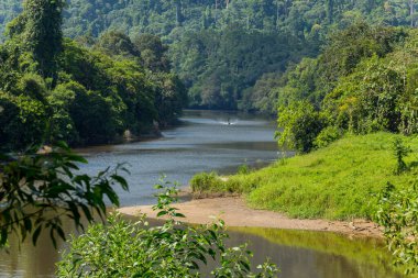 Temburong Nehri, Virgin Yağmur Ormanı, Ulu Temburong Ulusal Parkı, Brunei