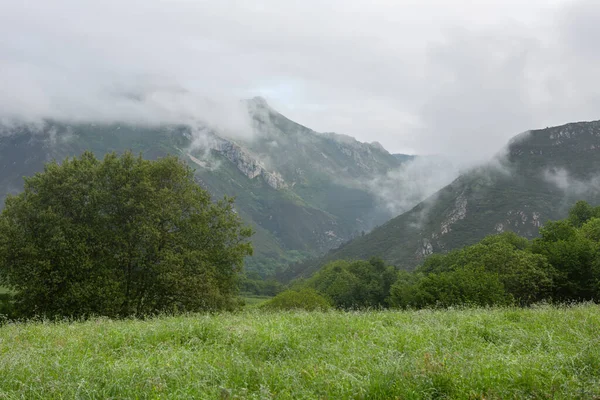 Utsikt Över Bergen Vid Picos Europa Asturien Spanien — Stockfoto
