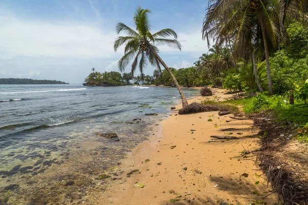 Tropikalna Plaża Morska Drzewami Panamie — Zdjęcie stockowe