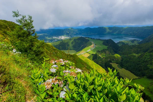 位于葡萄牙亚速尔圣米格尔岛上的火山火山口湖塞特塞达斯湖中的山上野花 Boca Inferno的观点 — 图库照片