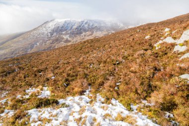 Anu 'nun Papaları' nda Kar, Co Kerry, İrlanda