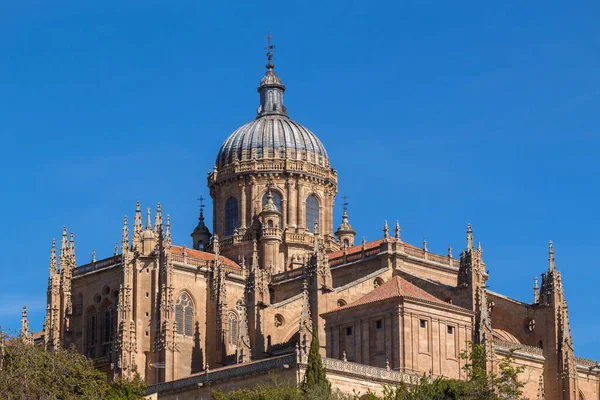 Nová Katedrála Katedrála Nueva Kopule Starém Městě Salamanca Světového Dědictví — Stock fotografie