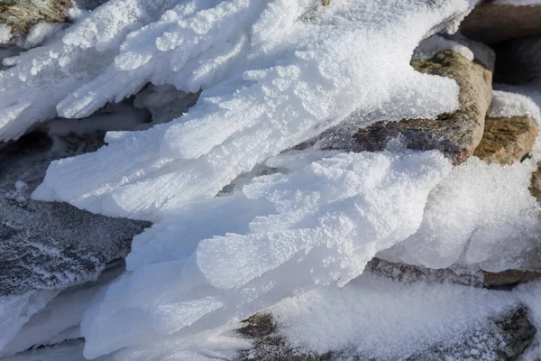 Snow Paps Anu Kerry Ireland — стокове фото