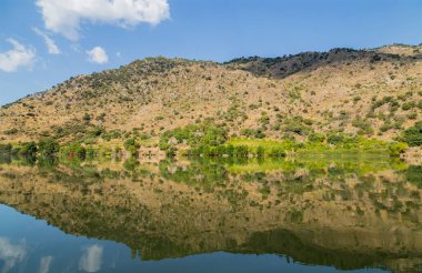 Douro Nehri Portekiz 'in kuzeyinden akıyor. Douro Bölgesi.