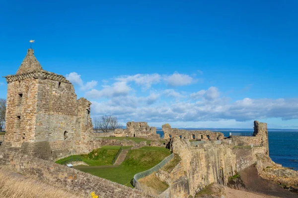セント アンドリュース城の遺跡 Fife Scotland United Kingdom — ストック写真