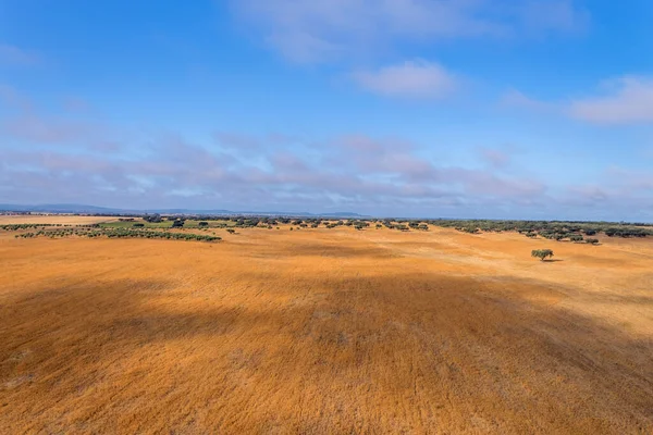 Heißluftballon Blick Auf Die Region Alentejo Über Den Feldern Portugal — Stockfoto