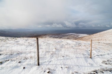 Anu 'nun Papaları' nda Kar, Co Kerry, İrlanda