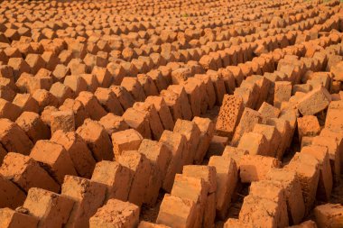 Bissau dışındaki tuğlalar, Gine Bissau