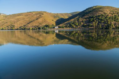 Portekiz 'in Tua köyü yakınlarındaki teraslı üzüm bağlarıyla Douro Vadisi ve nehrin manzarası.