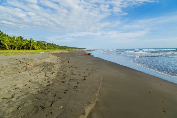 Playa Del Océano Tropical Con Palmeras Costa Rica —  Fotos de Stock