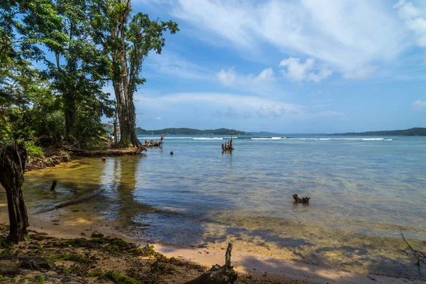 Praia Tropical Oceano Com Árvores Panamá — Fotografia de Stock