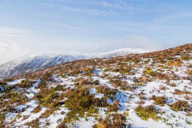 Anu 'nun Papaları' nda Kar, Co Kerry, İrlanda