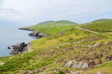 Beara Yarımadası 'ndaki manzara. County Cork, İrlanda