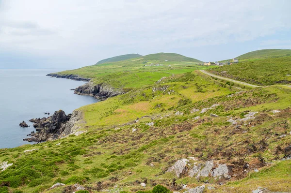 Paesaggio Nella Penisola Beara Contea Cork Irlanda — Foto Stock