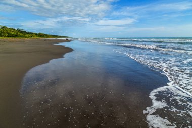 Kosta Rika 'da palmiye ağaçları olan tropik okyanus plajı