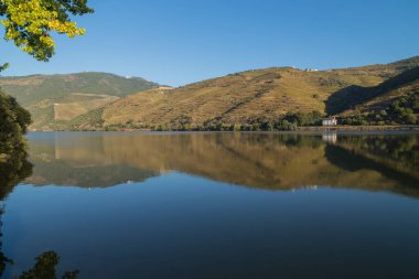 Portekiz 'in Tua köyü yakınlarındaki teraslı üzüm bağlarıyla Douro Vadisi ve nehrin manzarası.
