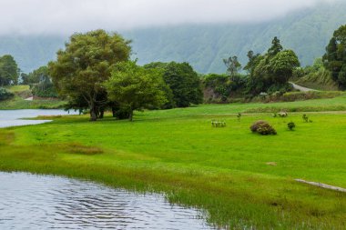 Sete Cidades Gölü 'nün sisli manzarası Sao Miguel Adası, Azores, Portekiz' deki volkanik bir krater gölü.