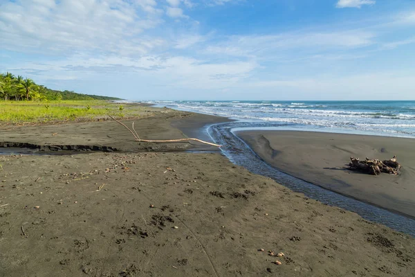 Playa Del Océano Tropical Con Palmeras Costa Rica —  Fotos de Stock