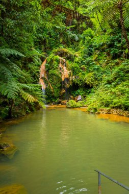 Caldeira Velha 'da şelale, ribeira grande, Natural Spa, Sao Miguel, Azores, Portekiz