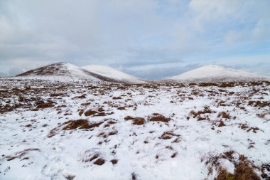 Anu 'nun Papaları' nda Kar, Co Kerry, İrlanda