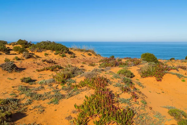 Вид Скалистое Побережье Атлантического Океана Альфажо Португалия — стоковое фото