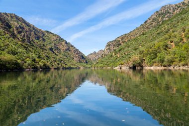 Douro Nehri Portekiz 'deki dar kayalık geçitten akıyor. Douro Bölgesi.