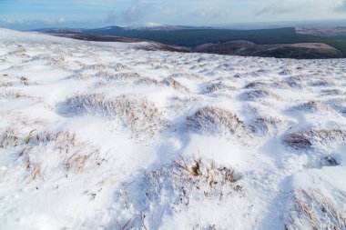 Anu 'nun Papaları' nda Kar, Co Kerry, İrlanda
