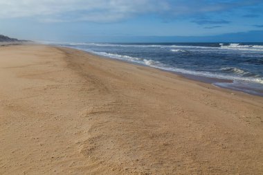 Figueira da Foz, Portekiz yakınlarındaki güzel boş sahil.