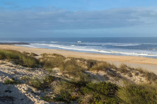 Figueira da Foz, Portekiz yakınlarındaki güzel boş sahil.
